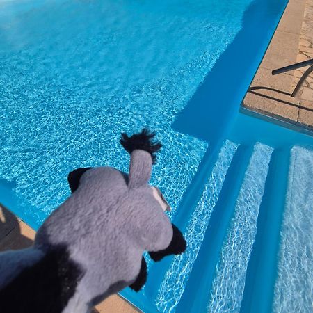 Havre De Paix Appart Climatise,Piscine,Wifi Le Barcarès Exteriér fotografie