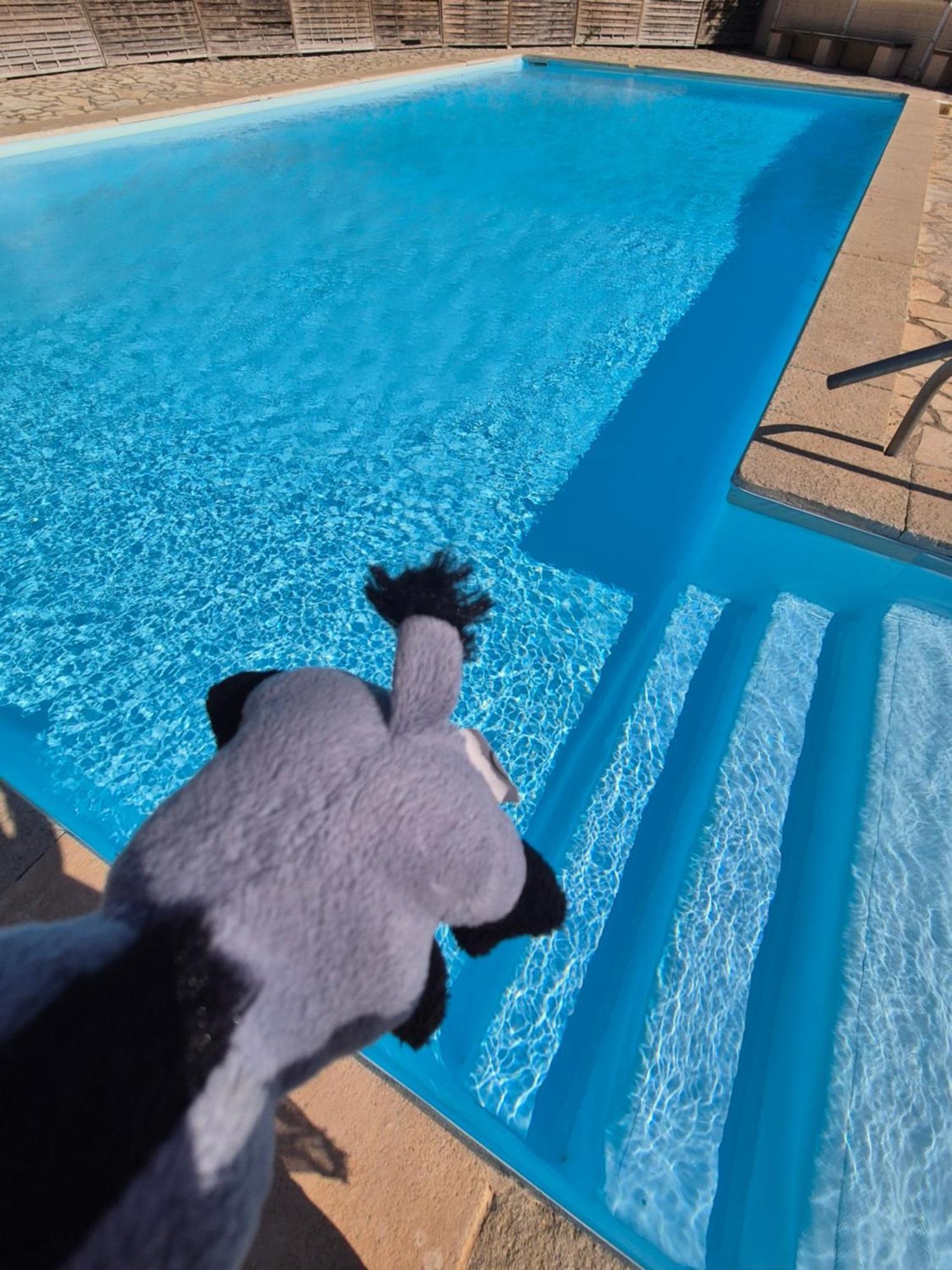 Havre De Paix Appart Climatise,Piscine,Wifi Le Barcarès Exteriér fotografie
